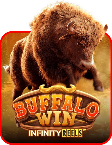Buffalo Win